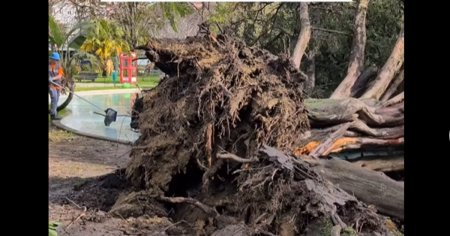 Furtuna Martinho a dat peste cap traficul feroviar in Portugalia din cauza caderilor de arbori. O persoana a fost ranita