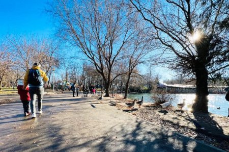 Descoperire ingrijoratoare in Parcul Tineretului din Bucuresti: Nu duceti copiii acolo!”