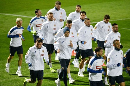 3 semne de intrebare pentru Lucescu inainte de Romania - Bosnia » Cum poate arata echipa de start