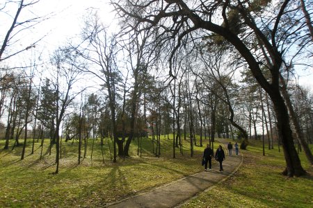 METEO. Cum va fi vremea in urmatoarele patru saptamani. Temperaturile vor fi mai ridicate decat cele nor<span style='background:#EDF514'>MALE</span>