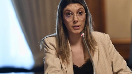 Diana Buzoianu: Sefii RA-APPS sustin cu maxim tupeu ca institutia nu cheltuie bani publici