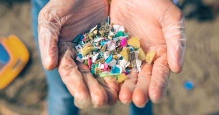 Microplasticele sunt peste tot: in sange, plamani si chiar in creier. Sase moduri de a ne proteja sanatatea