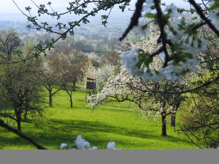 Meteorologii ANM au emis prognoza pe termen lung: Cum va fi vremea de Florii si de Paste