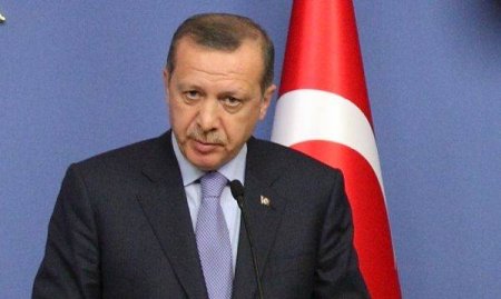 Erdogan: 'Turcia nu va fi cedata t<span style='background:#EDF514'>ERORI</span>i strazii'