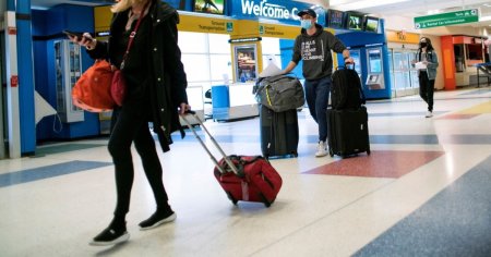 O americanca si-a inecat catelul in baia unui aeroport, dupa ce i s-a interzis sa il ia in cabina