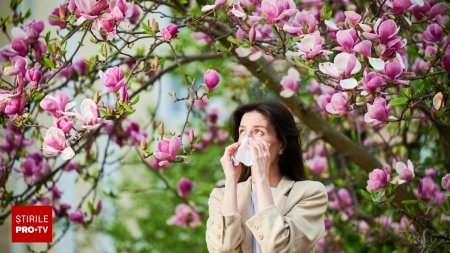 Alergiile de primavara - care sunt plantele alergene. Cum depasesti sezonul alergiilor fara prea multe simptome