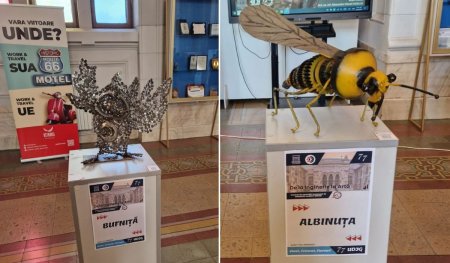 Povestea expozitiei surprinzatoare din Galati De la Inginerie, la Arta, care imbina creativitatea si sculptura 