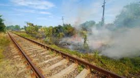 Tren oprit in Lunca Mures din cauza unui incendiu de vegetatie