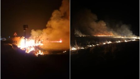 Alerta in mai multe judete din cauza incendiilor de vegetatie. Focul ar fi fost provocat de cei care isi curata terenurile