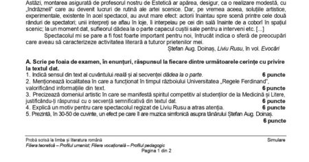 Simulare Bacalaureat 2025, Limba si literatura romana. Ce subiecte au primit elevii de la UMAN