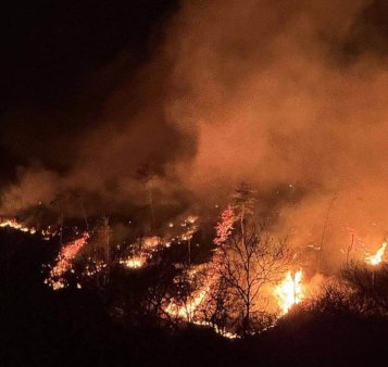 Mobilizare masiva in <span style='background:#EDF514'>COREEA</span> de Sud pentru stingerea incendiilor de padure