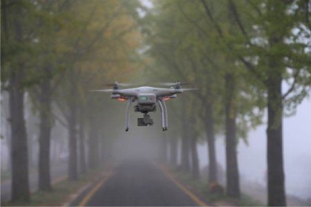 Tree Census, with Drones and <span style='background:#EDF514'>LASER</span>s