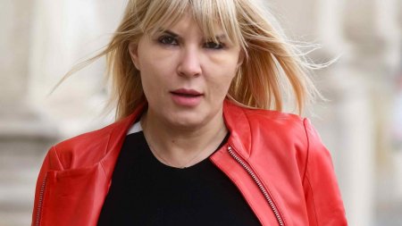 Elena Udrea, citata de <span style='background:#EDF514'>INSTANT</span>a la puscarie, sa se prezinte la procesul insolventei firmei sale agricole