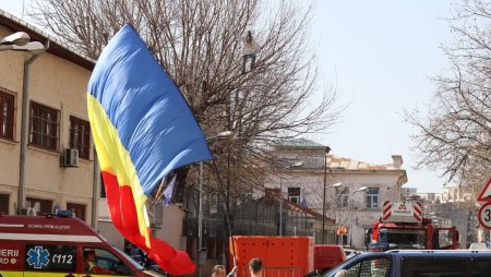 Stegarul Dac refuza sa coboare din copacul de la Arestul Central al Politiei Bucuresti, desi au trecut peste 24 de ore. A cantat Un elefant se legana pe o panza de paianjen